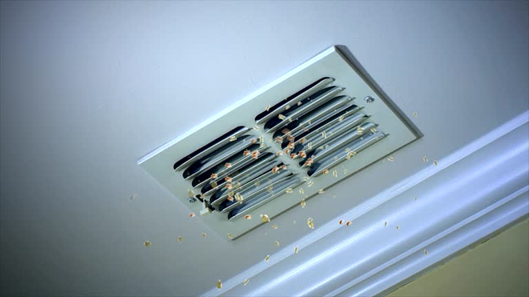Best Dryer Vent Cleaning Services  in Mount Pleasant, PA