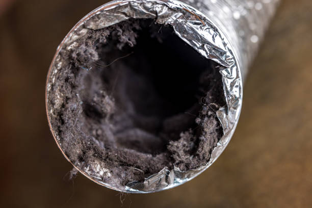 Best Emergency Air Duct Cleaning  in Mount Pleasant, PA